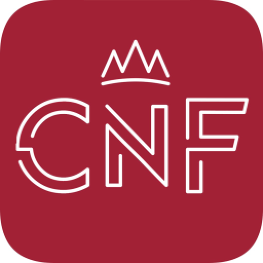 Chick N Fries app icon