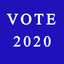 Vote - 2020 icon