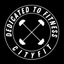 D2f Cityfit icon