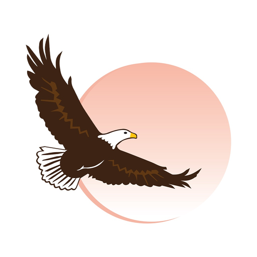 Wings to Soar app icon