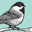 Chickadee Tea • Coffee • Eats icon