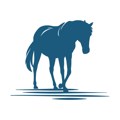 The Northern Outer Banks app icon