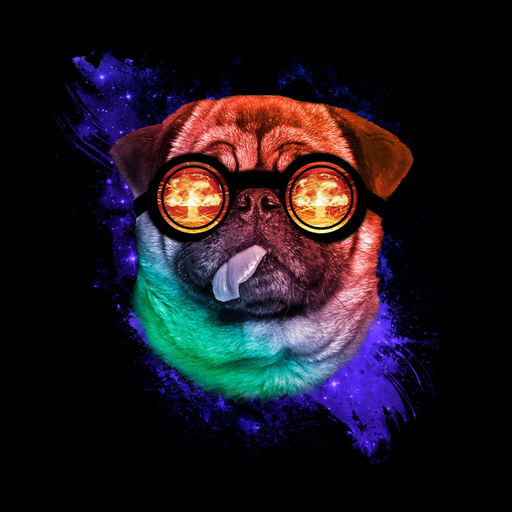 Dogs Wallpapers 4K HQ Notch app icon