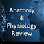 Human Body A&P Practice Test icon