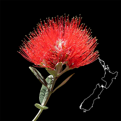 NZ Myrtaceae Key app icon