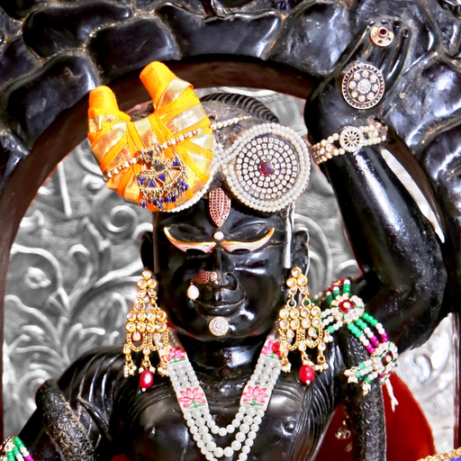 Goverdhan Haveli app icon
