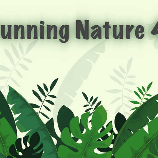 Stunning Nature : 4K Wallpaper app icon