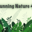 Stunning Nature : 4K Wallpaper icon