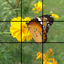 MoPic Puzzle icon