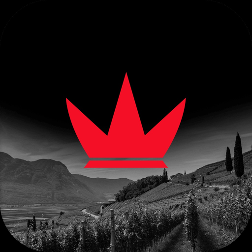 Vinarte app icon