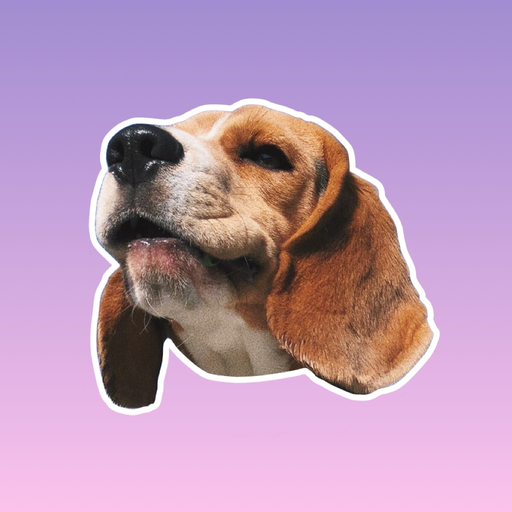 Beagle Quest app icon