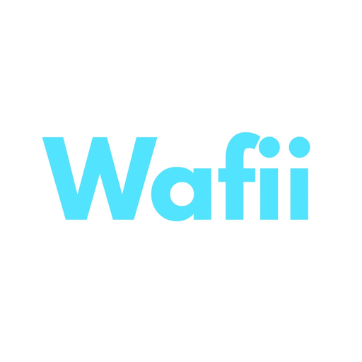 WPay Merchant app icon