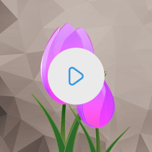Video Color Editor app icon