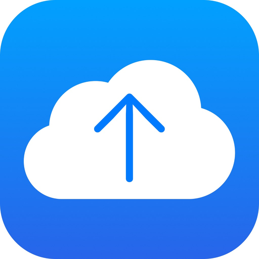 Easy Access for Dropbox app icon