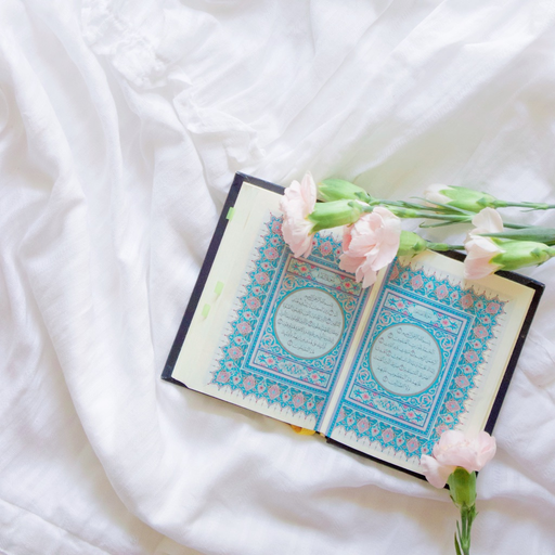 Arabic Learner app icon