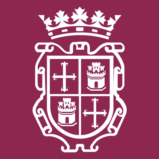 DigiPalserviciosurbanos app icon