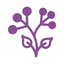 TILA: Sleep, Calm & Meditation icon