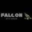 Falcon PRO Player icon