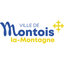 Montois Pocket icon