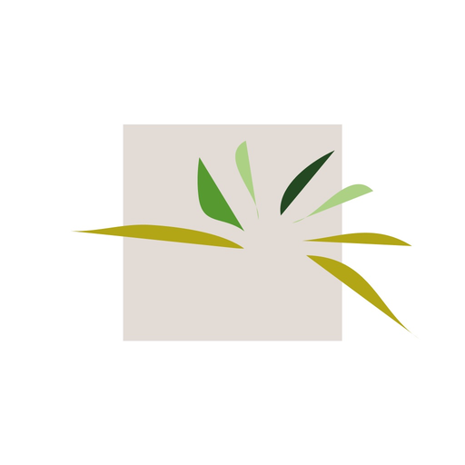 Sint-Pieters-Leeuw app icon
