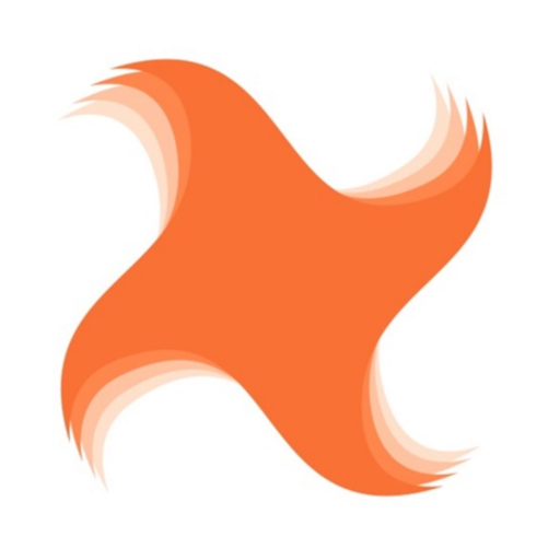 Netvex app icon