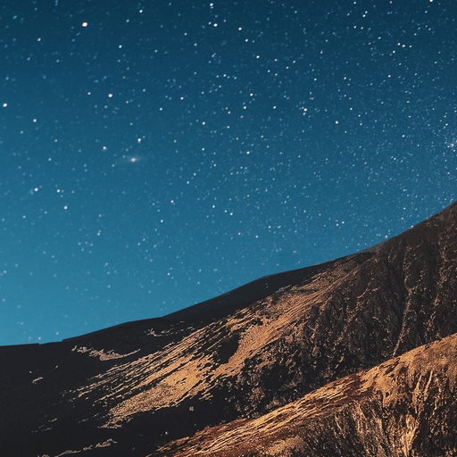Calming Tiny Wanders app icon
