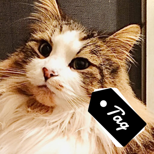 Find Photos Quickly-PhotoTag! app icon