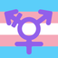 TransMe: Transgender Dating icon