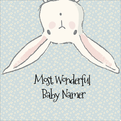 Wonderful Baby Namer app icon