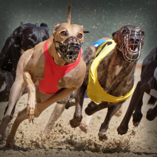 Dog Racing app icon