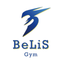 BeLiS Gym icon