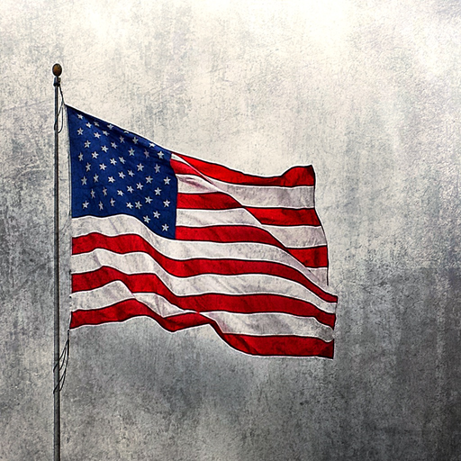 US States & Capitals app icon