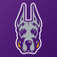 UAlbanySports icon
