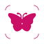 Insect Identifier - Scan Bugs icon