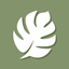 Monstera icon