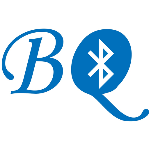 BlueQTerm app icon