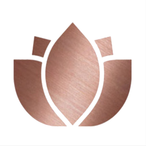 SHEQONOMI app icon