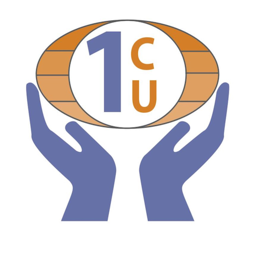 First South Credit Union app icon