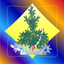 Decorate a Christmas tree... icon