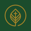 Life Pointe Church Woodland icon