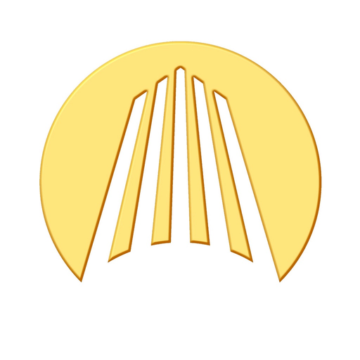 DDIC App app icon