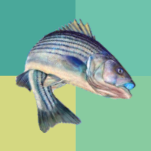 AnglerCatch app icon