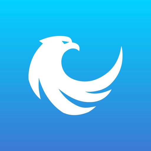 EaglesSystem app icon