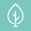 Wellifiy icon