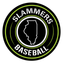 Slammers Training Academy icon