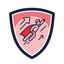 RECXPLORER icon