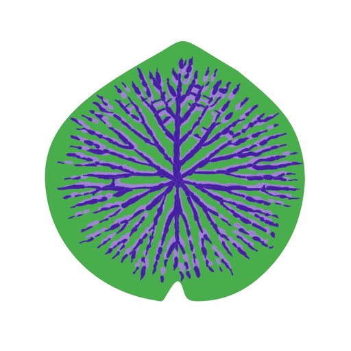 ARACI.lab app icon