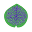 ARACI.lab icon