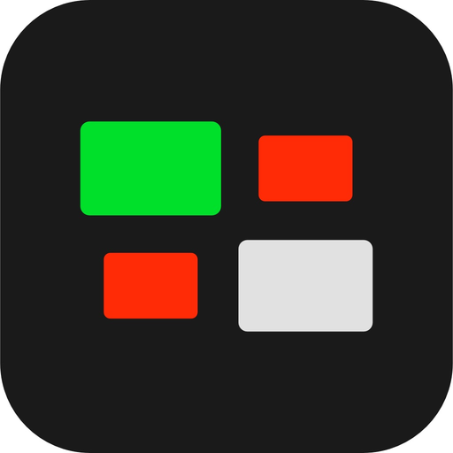 TouchDirector PiP app icon