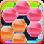 Hex Block Puzzles icon